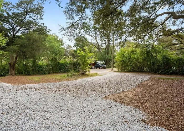 The Panam Fire Pit Bbq Kid & Dog Friendly Pensacola